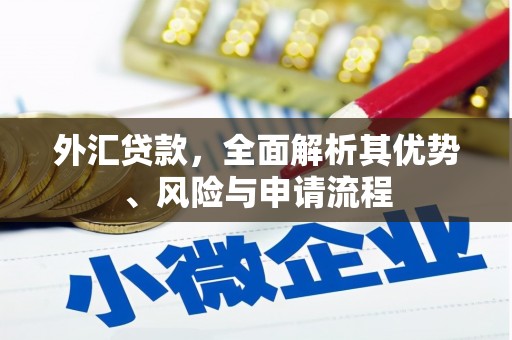 蒲城外汇贷款，全面解析其优势、风险与申请流程