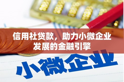 蒲城信用社贷款，助力小微企业发展的金融引擎