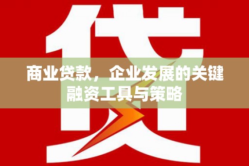 蒲城商业贷款，企业发展的关键融资工具与策略