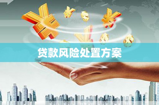 蒲城贷款风险处置方案