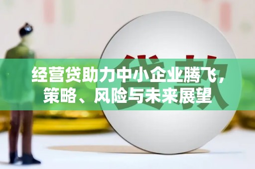 蒲城经营贷助力中小企业腾飞，策略、风险与未来展望