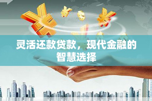 蒲城灵活还款贷款，现代金融的智慧选择