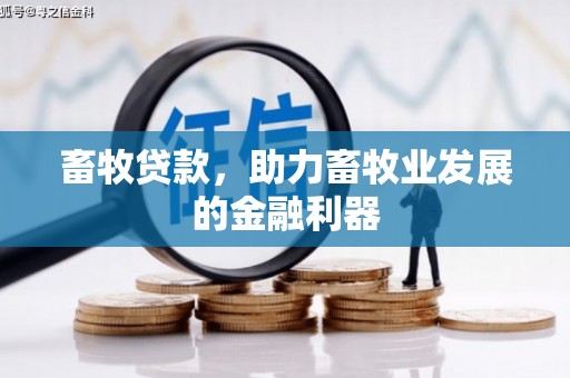 蒲城畜牧贷款，助力畜牧业发展的金融利器