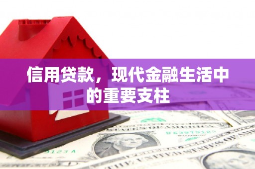 蒲城信用贷款，现代金融生活中的重要支柱