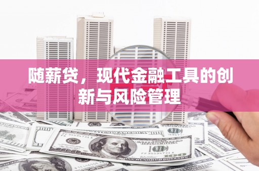 蒲城随薪贷，现代金融工具的创新与风险管理