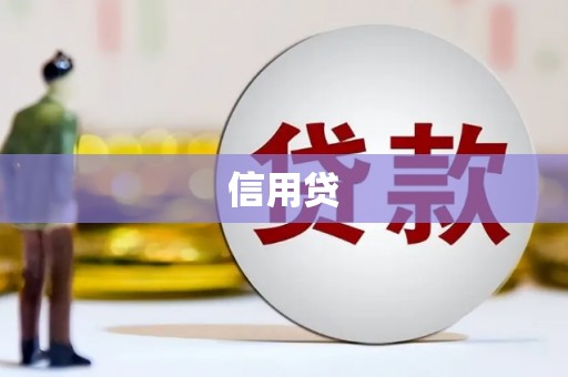 蒲城信用贷