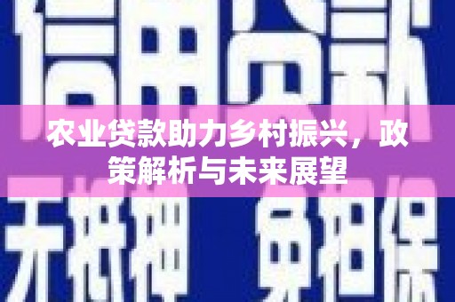 蒲城农业贷款助力乡村振兴，政策解析与未来展望