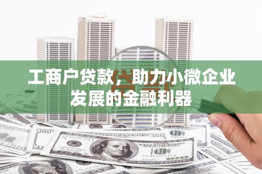 蒲城工商户贷款，助力小微企业发展的金融利器