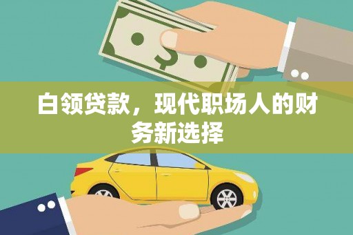 蒲城白领贷款，现代职场人的财务新选择