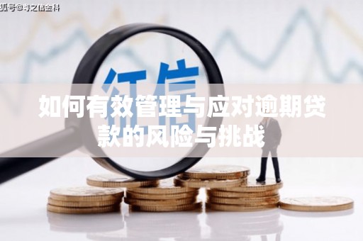 蒲城如何有效管理与应对逾期贷款的风险与挑战