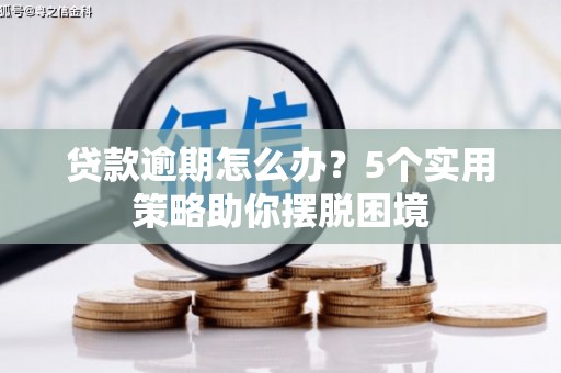 蒲城贷款逾期怎么办？5个实用策略助你摆脱困境