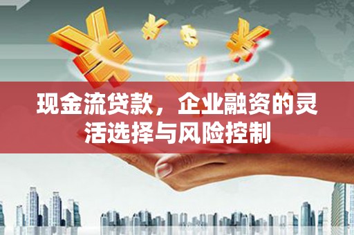 蒲城现金流贷款，企业融资的灵活选择与风险控制