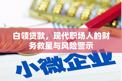 蒲城白领贷款，现代职场人的财务救星与风险警示