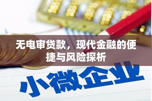 蒲城无电审贷款，现代金融的便捷与风险探析