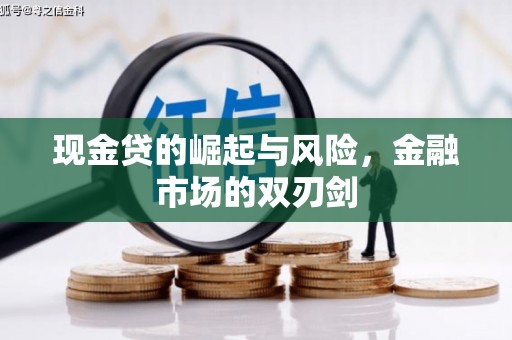 蒲城现金贷的崛起与风险，金融市场的双刃剑