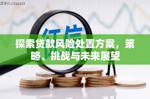 蒲城探索贷款风险处置方案，策略、挑战与未来展望