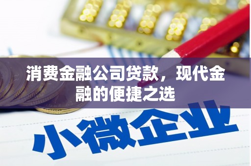 蒲城消费金融公司贷款，现代金融的便捷之选