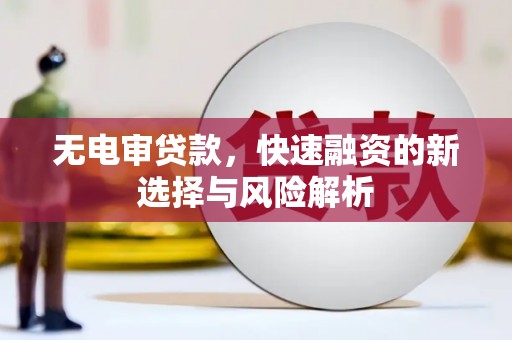 蒲城无电审贷款，快速融资的新选择与风险解析