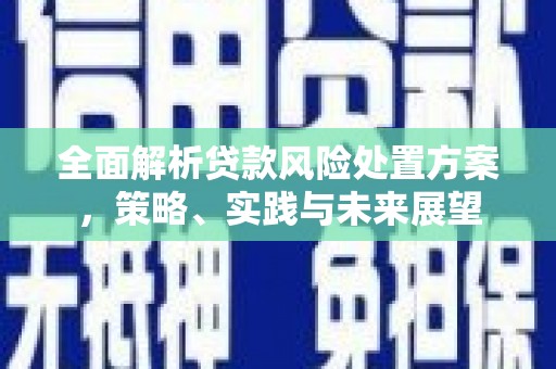 蒲城全面解析贷款风险处置方案，策略、实践与未来展望