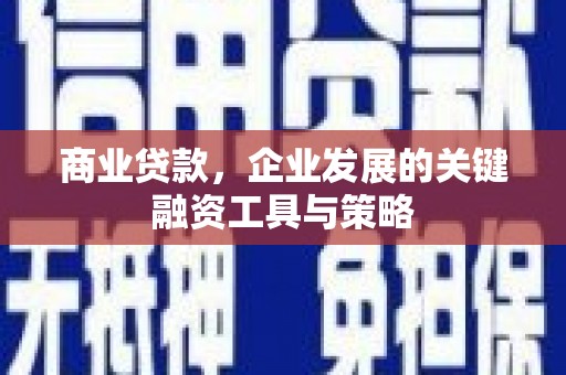 蒲城商业贷款，企业发展的关键融资工具与策略