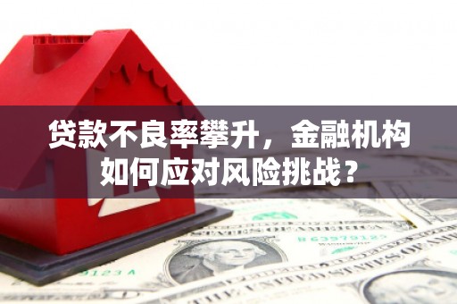 蒲城贷款不良率攀升，金融机构如何应对风险挑战？