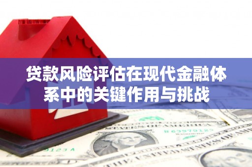 蒲城贷款风险评估在现代金融体系中的关键作用与挑战