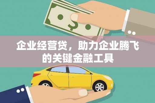蒲城企业经营贷，助力企业腾飞的关键金融工具
