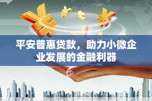 蒲城平安普惠贷款，助力小微企业发展的金融利器