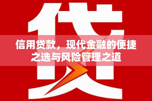 蒲城信用贷款，现代金融的便捷之选与风险管理之道