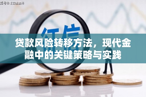 蒲城贷款风险转移方法，现代金融中的关键策略与实践