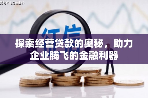 蒲城探索经营贷款的奥秘，助力企业腾飞的金融利器