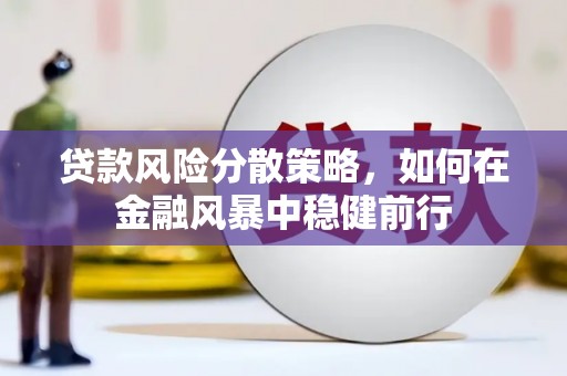 蒲城贷款风险分散策略，如何在金融风暴中稳健前行