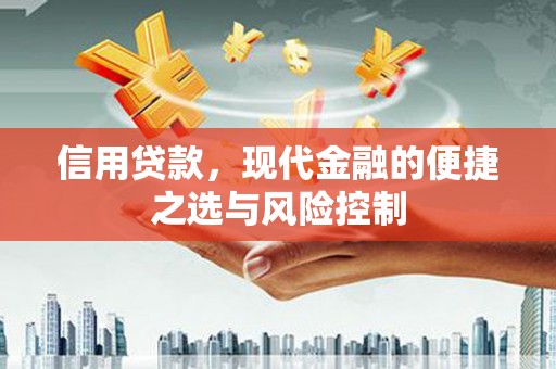 蒲城信用贷款，现代金融的便捷之选与风险控制