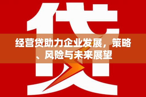蒲城经营贷助力企业发展，策略、风险与未来展望