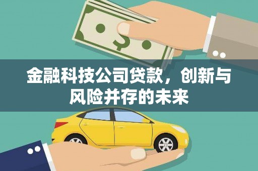 蒲城金融科技公司贷款，创新与风险并存的未来