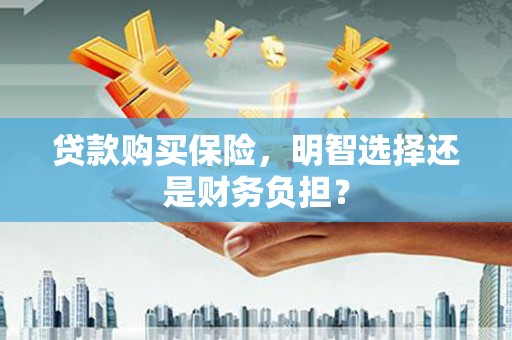 蒲城贷款购买保险，明智选择还是财务负担？