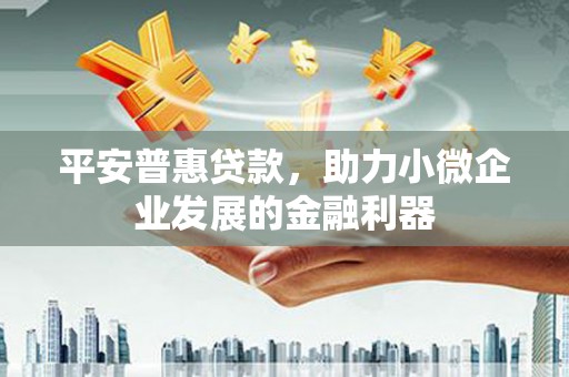 蒲城平安普惠贷款，助力小微企业发展的金融利器