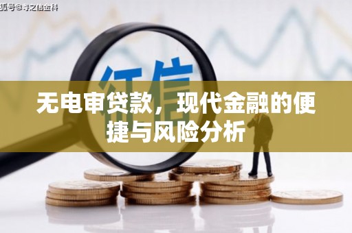 蒲城无电审贷款，现代金融的便捷与风险分析