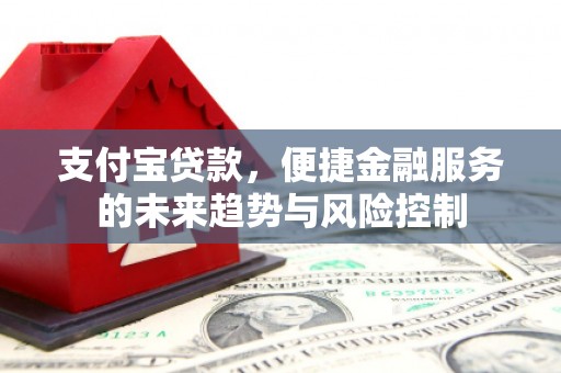 蒲城支付宝贷款，便捷金融服务的未来趋势与风险控制