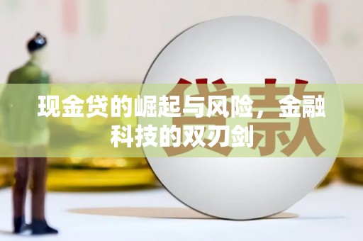 蒲城现金贷的崛起与风险，金融科技的双刃剑