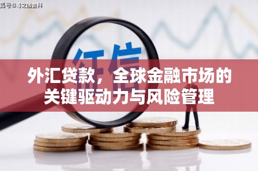 蒲城外汇贷款，全球金融市场的关键驱动力与风险管理