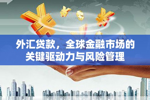 蒲城外汇贷款，全球金融市场的关键驱动力与风险管理