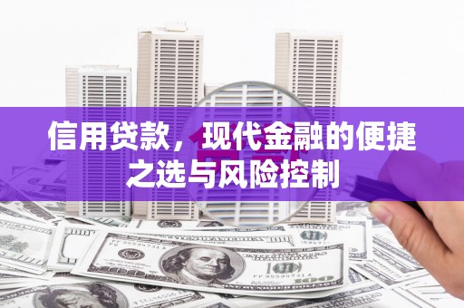 蒲城信用贷款，现代金融的便捷之选与风险控制