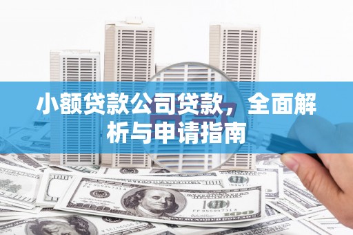 蒲城小额贷款公司贷款，全面解析与申请指南