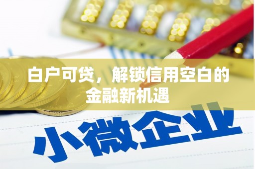 蒲城白户可贷，解锁信用空白的金融新机遇