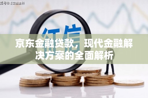蒲城京东金融贷款，现代金融解决方案的全面解析