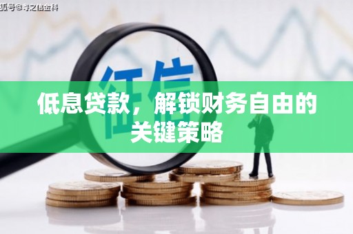 蒲城低息贷款，解锁财务自由的关键策略