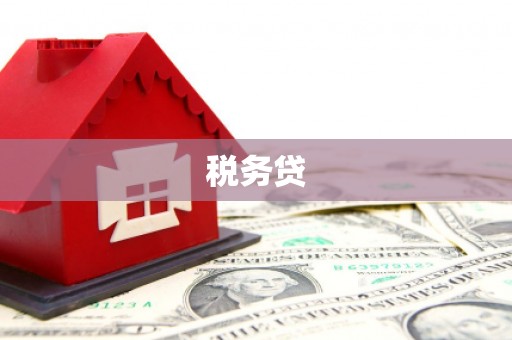 蒲城税务贷