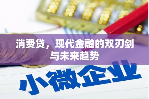蒲城消费贷，现代金融的双刃剑与未来趋势