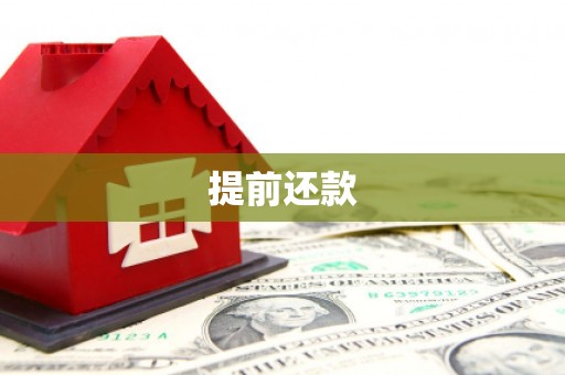 蒲城提前还款